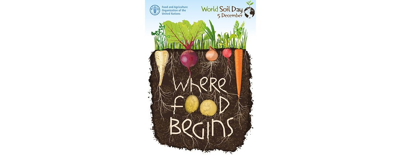 Soil is where food begins